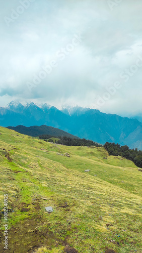 Gorson bugyal Auli Uttarakhand  photo