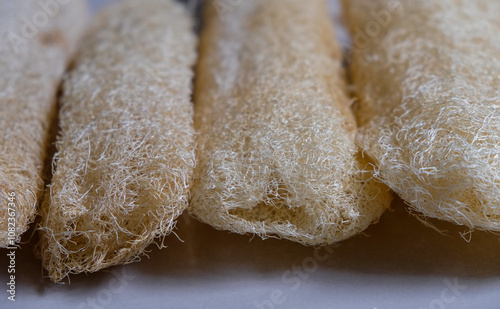 Close-up of eco friendly loofah (dried gambas) sponge. photo