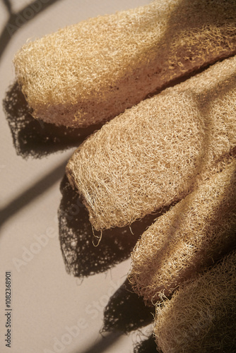 Fotografie Close-up of eco friendly loofah (dried gambas) sponge.