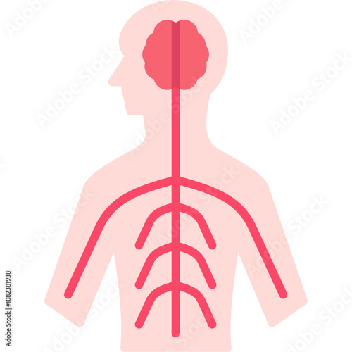 Sympathetic Nervous System Icon