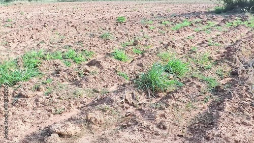 Agricultural areas where the soil is dug and prepared for planting.