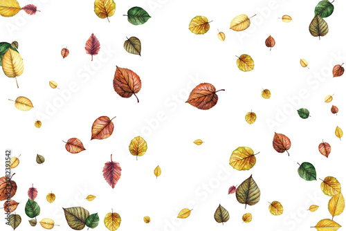 autumn leaves background
