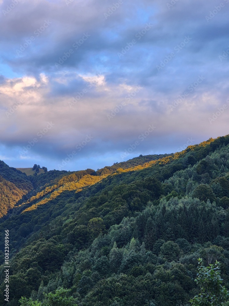 Fototapeta premium Carpathian Mountains