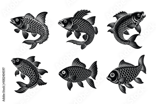 rui, rohu fish vector design, labeled line art and linocut silhouette illustration.