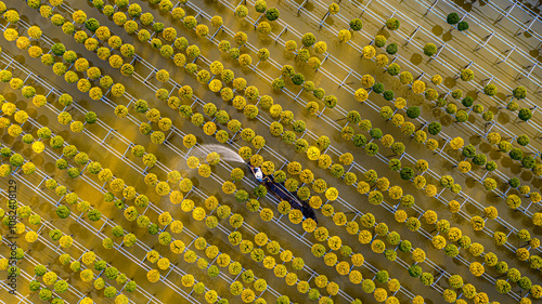 Watering flowers in Sadec flower village