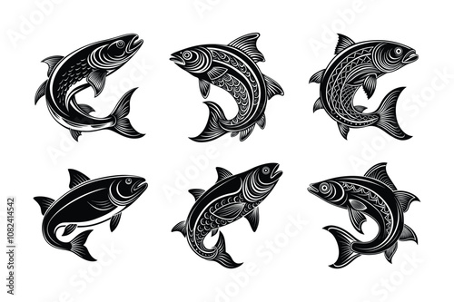 salmon fish vector design, labeled line art and linocut silhouette illustration.