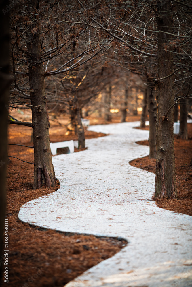 Curved gravel path through a park with bare trees and a modern bench.