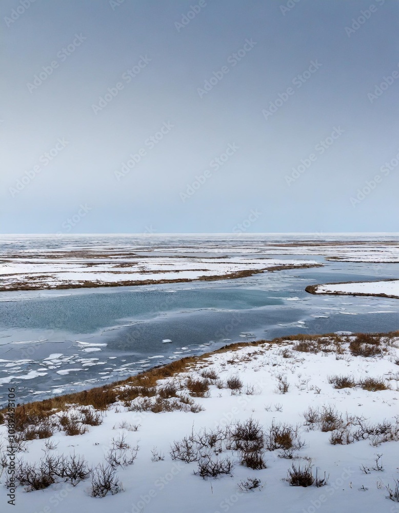 Snowy Tundra Landscape Stretching Across a Flat Horizon, With Patches of Icy Blue Water and Frozen Marshlands, All Under a Pale Winter Sky Snowy Tundra Landscape Stretching Across a Flat Horizon, With Patches of Icy Blue Water and Frozen Marshlands, All Under a Pale Winter Sky