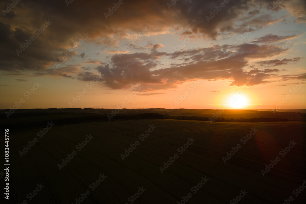 Aerial landscape view of yellow cultivated agricultural field with ripe wheat on vibrant summer evening