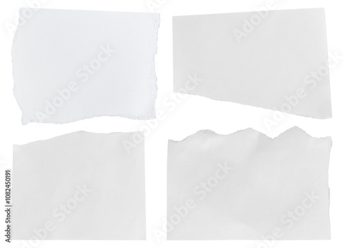 Wallpaper Mural Set of White ripped piece of paper isolated on transparent background PNG file Torontodigital.ca
