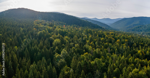 Aerial view of green pine forest with dark spruce trees covering mountain hills. Nothern woodland scenery from above photo