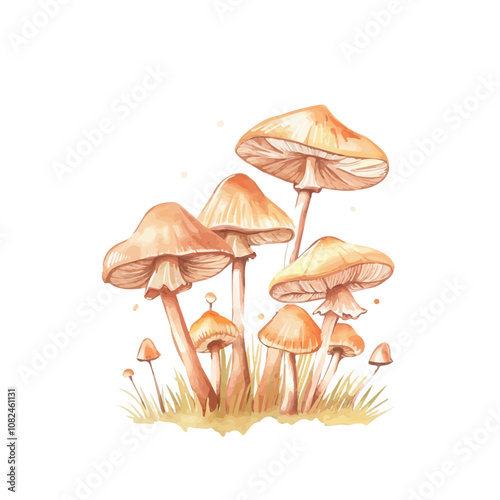 A watercolor vector of a set of wild forest mushrooms, isolated on a white background. Wild forest mushrooms vector.