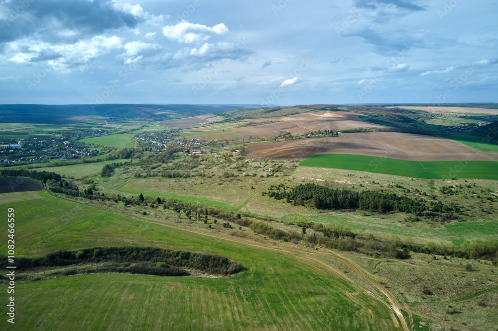 Fototapeta premium Agricultural cultivated field in summer season with growing crops. Green farm fields. Farming and agriculture industry