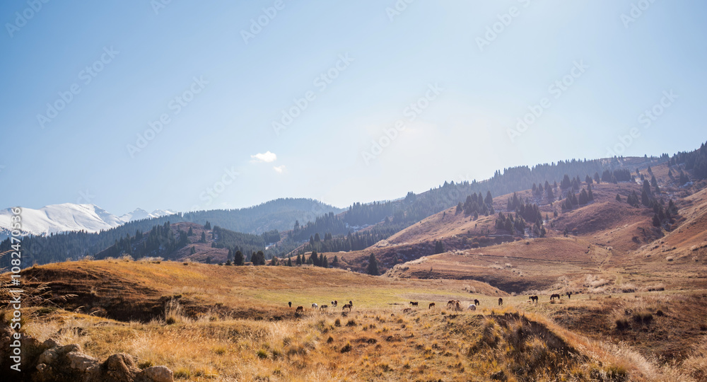 a serene, golden-hued meadow leading up to distant snow-capped mountains, with evergreen forests adorning the rolling hills under a soft blue sky, capturing the essence of a tranquil late autumn day a serene, golden-hued meadow leading up to distant snow-capped mountains, with evergreen forests adorning the rolling hills under a soft blue sky, capturing the essence of a tranquil late autumn day
