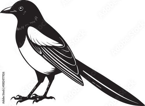 hispaniolan trogon bird vector illustration