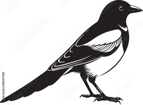 hispaniolan trogon bird vector illustration