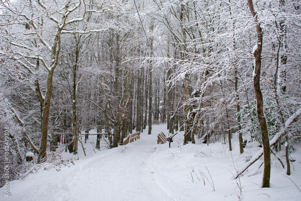 snow covered running trail Norway snow covered running trail Norway