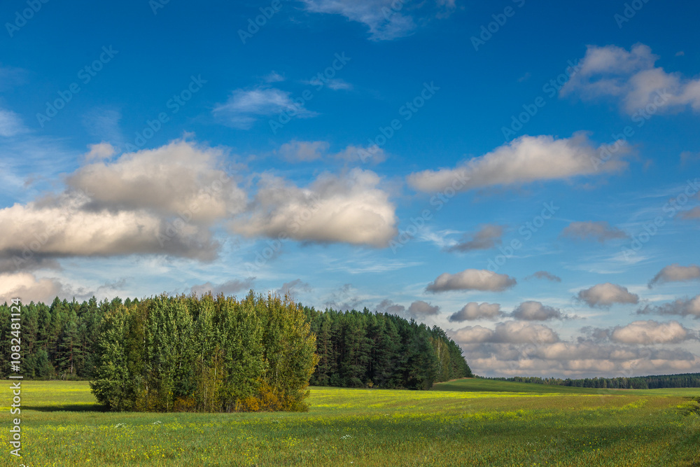 october landscape - autumn sunny day, beautiful trees with colorful leaves, Poland, Europe, Podlasie, white clouds on blue sky october landscape - autumn sunny day, beautiful trees with colorful leaves, Poland, Europe, Podlasie, white clouds on blue sky