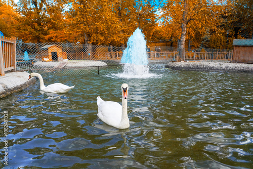 Kuğulu Park in Çankaya Ankara photo