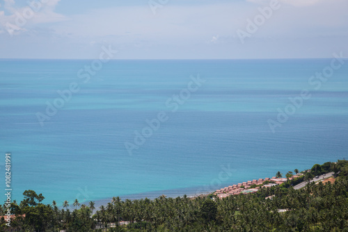 In the distance you can see the sea and the coast surrounded by jungle