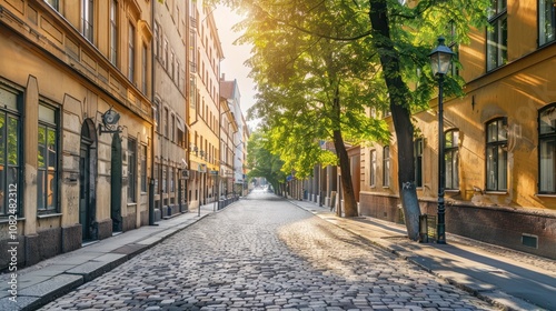 Cobblestone Street in a European City