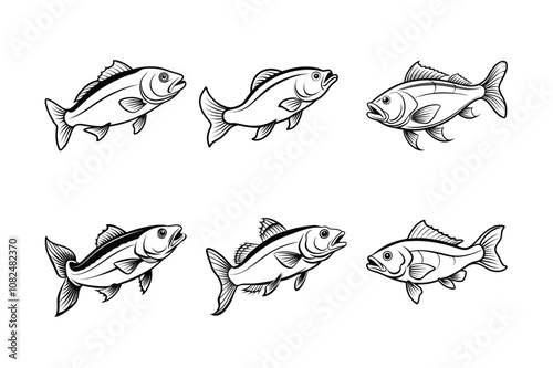 mackerel fish vector design, labeled line art silhouette illustration.