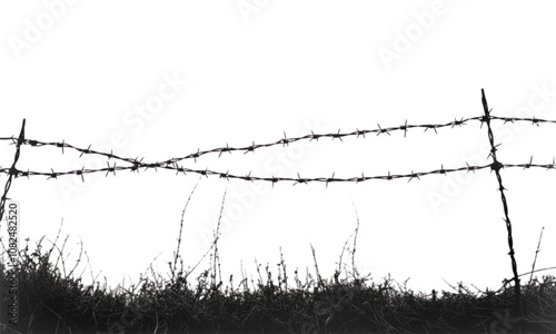 barbed wire fence