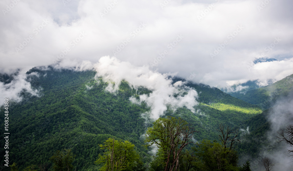 a misty mountain landscape with lush greenery, where low-hanging clouds intertwine with the dense forest on the slopes, creating a serene and mystical atmosphere a misty mountain landscape with lush greenery, where low-hanging clouds intertwine with the dense forest on the slopes, creating a serene and mystical atmosphere