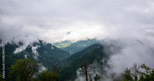 Fotografie A misty mountain landscape unfolds with luscious greenery and towering trees, as