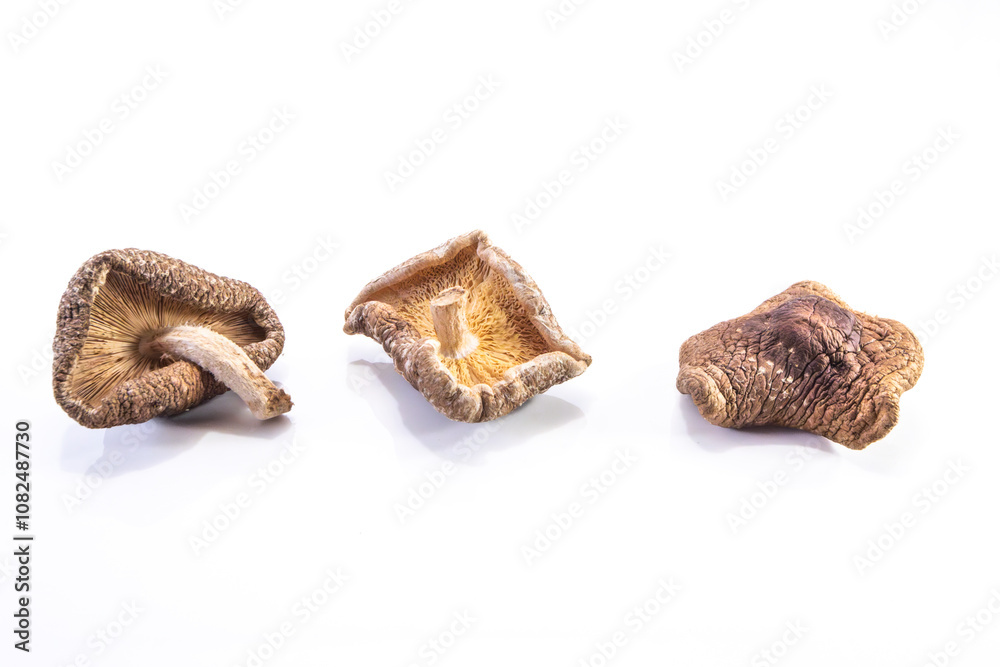 dehydrated shitake, Lentinula edodes group dehydrated shitake, Lentinula edodes group