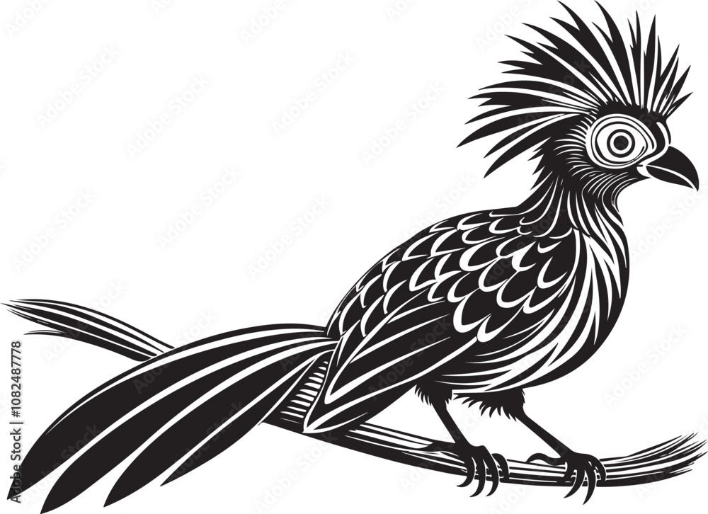 Obraz premium hoatzin vector bird illustration design transparent background