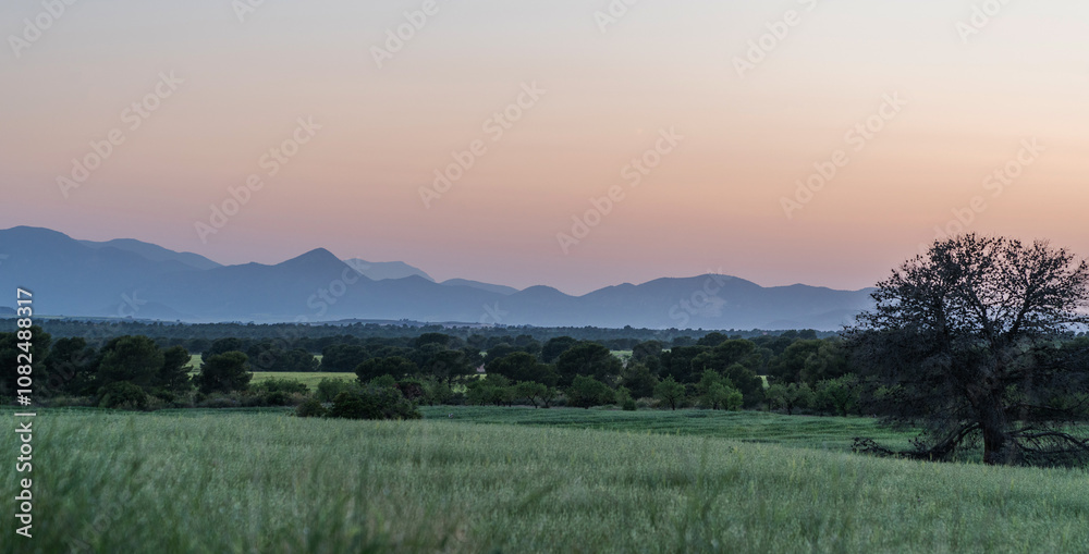 A serene landscape at dusk shows rolling hills and distant mountains under a colorful sky transitioning from pink to blue. The scene includes dense forested areas and open fields. A serene landscape at dusk shows rolling hills and distant mountains under a colorful sky transitioning from pink to blue. The scene includes dense forested areas and open fields.