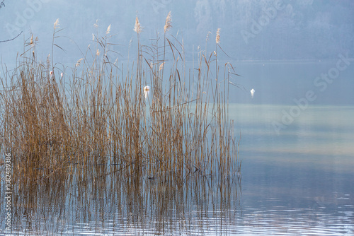 Obraz na płótnie Lake of Levico / Trentino w salonie