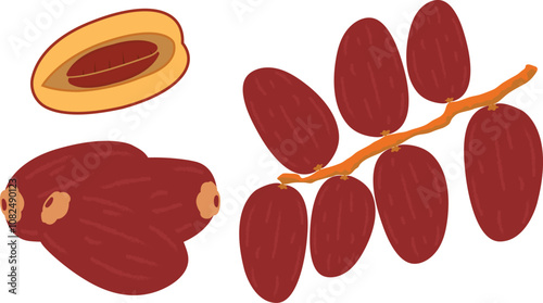 Date fruit icon, Illustration isolated on white background. Jewish holiday Passover, Pesach. Dates icons and symbols. Vector illustration