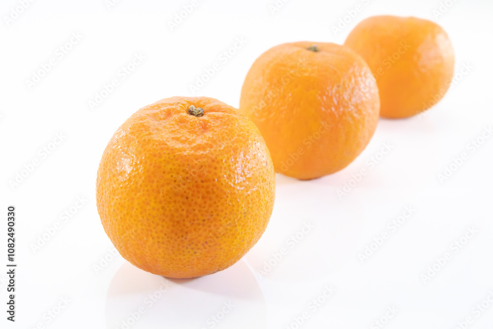 Citrus reticulata, Citrus unshiu, Citrus reshni, Mandarin group, 3 pieces Citrus reticulata, Citrus unshiu, Citrus reshni, Mandarin group, 3 pieces