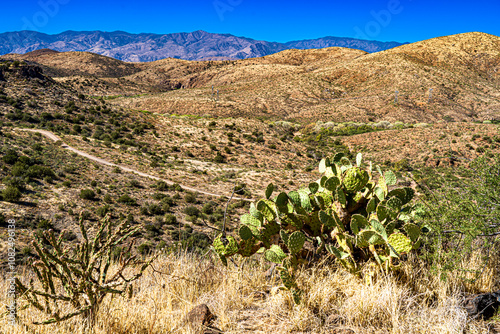 The landscape of the Agua Fria National Monument in Arizona