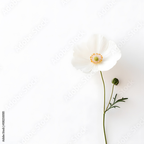 modern 2D doodle cartoon flower concept with open space for text, featuring whimsical floral and leafy elements on crisp white backgrounds.