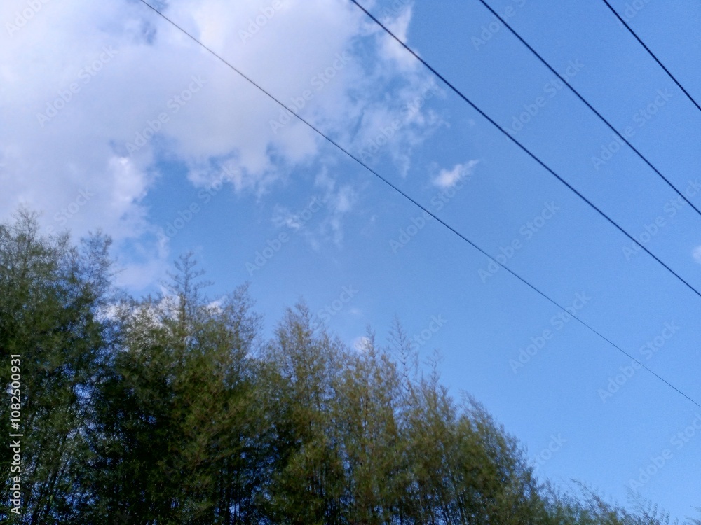 Obraz premium A blue sky with white clouds and power lines above a green bamboo forest. 