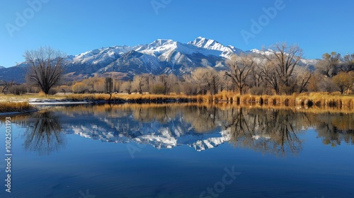 A snow-capped mountain reflected in a still lake with bare trees in the foreground under a blue sky.