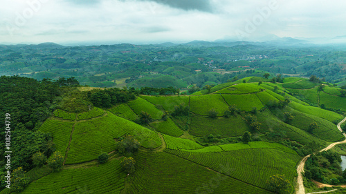 Aerial view of Long Coc tea hills, Phu Tho province, Vietnam. Beautiful green tea plantation in Vietnam. Nature background. Travel and agriculture concept.