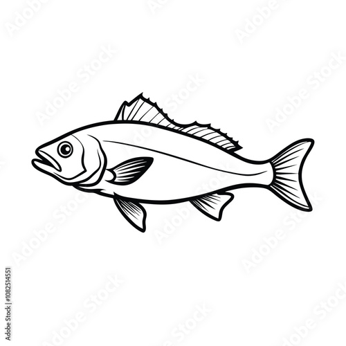 sea bass fish design, labeled line art vector silhouette illustration.