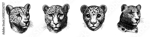 This modern illustration of a Jaguar head is isolated on a transparent background