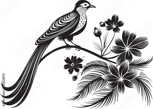 quetzal bird vector illustration transparent background