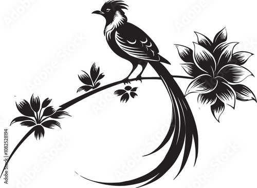 quetzal bird vector illustration transparent background