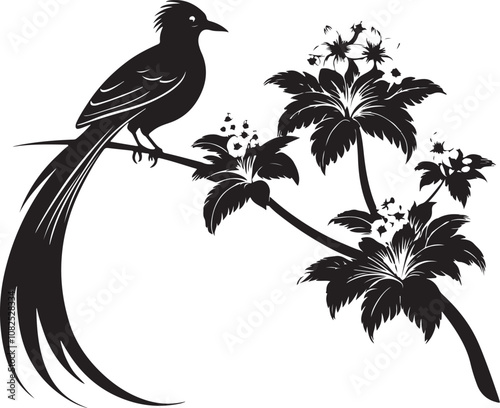 quetzal bird vector illustration transparent background
