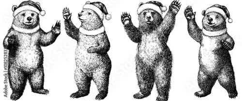 Vintage engrave isolated black bear set dressed in a santa outfit. American grizzly background asian silhouette new year hat art.