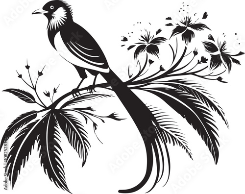 quetzal bird vector illustration transparent background
