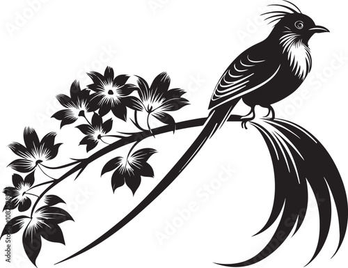 quetzal bird vector illustration transparent background