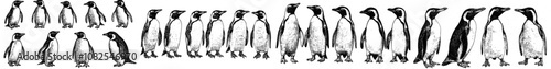 Ink sketch of an isolated penguin set with wild bird background.