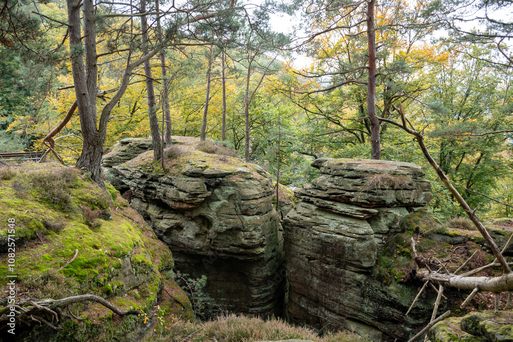 Scenic diversity of Mullerthal, Luxembourg's Little Switzerland, hiking routes, rock formations, moss-covered forests, tourist destination in Europe